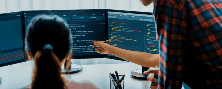 website-developer-