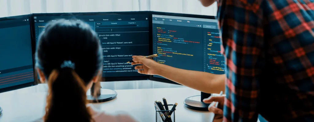 website-developer-